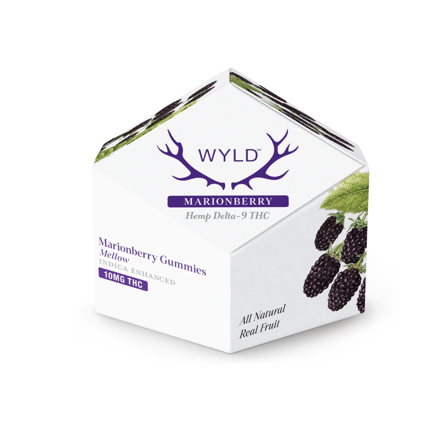 WYLD Gummies / Marionberry